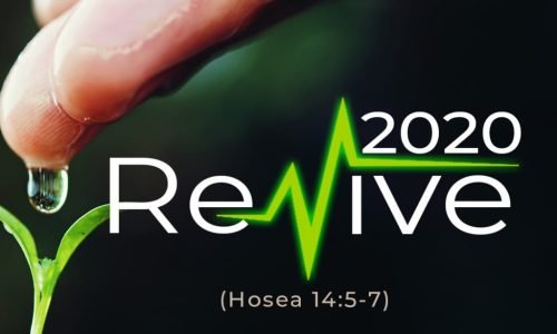 revive 2020
